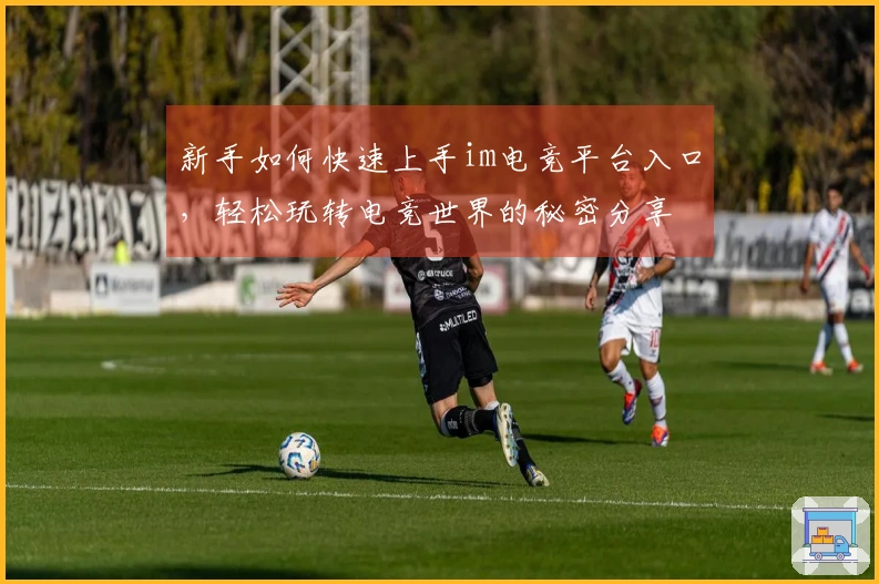 新手如何快速上手im电竞平台入口，轻松玩转电竞世界的秘密分享