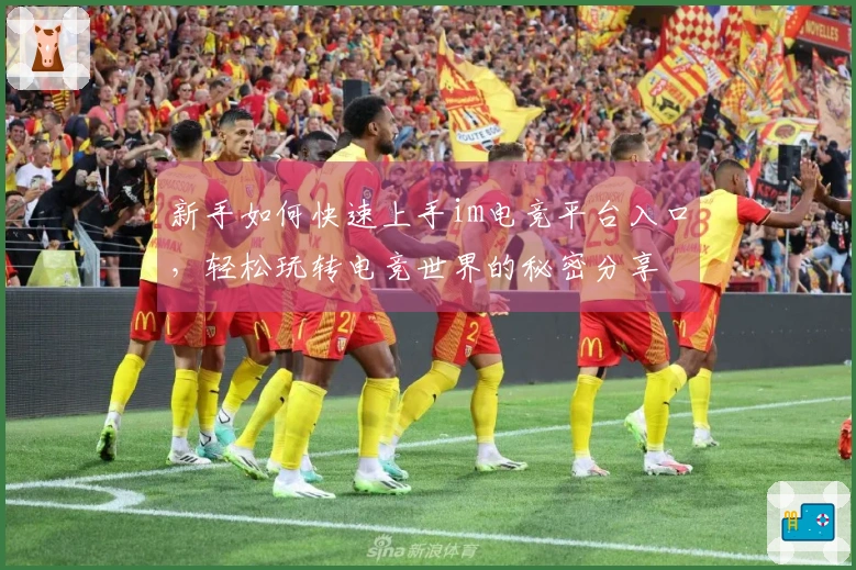 新手如何快速上手im电竞平台入口，轻松玩转电竞世界的秘密分享